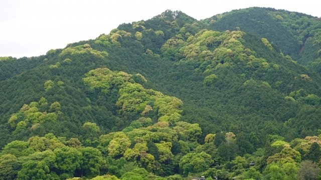 山の風景