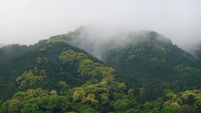 靄がかかる山