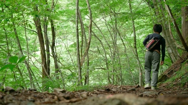 森の中で孤独の男性