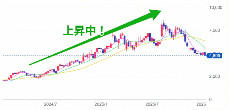 記事LP_サンリオ