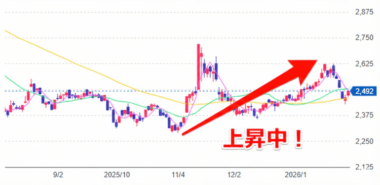 記事LP_ヤクルト