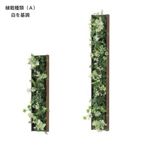 壁面緑化　長方形の商品画像3