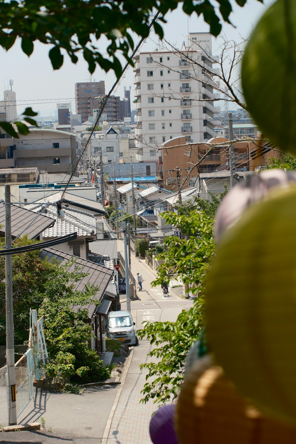2026年ののざきの風景