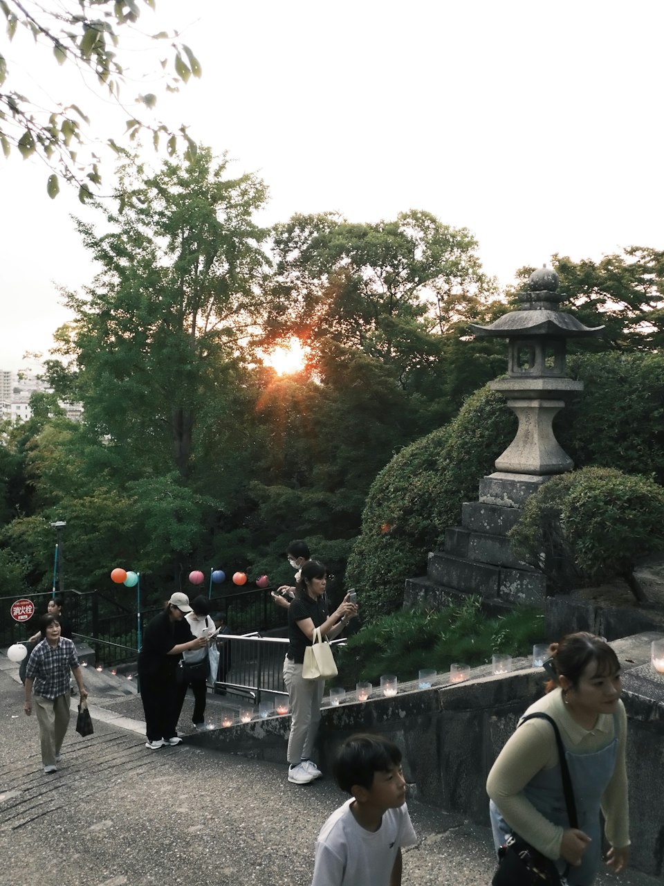 2026年ののざきの風景
