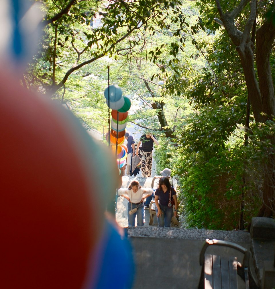 2026年ののざきの風景