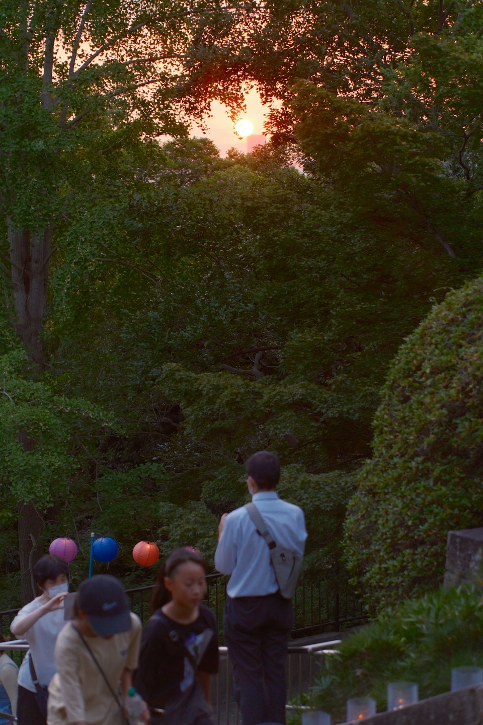 2026年ののざきの風景