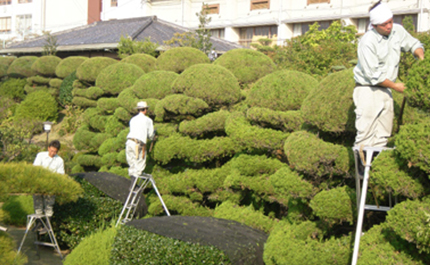 乾造園の写真