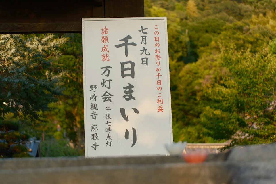 2026年ののざきの風景