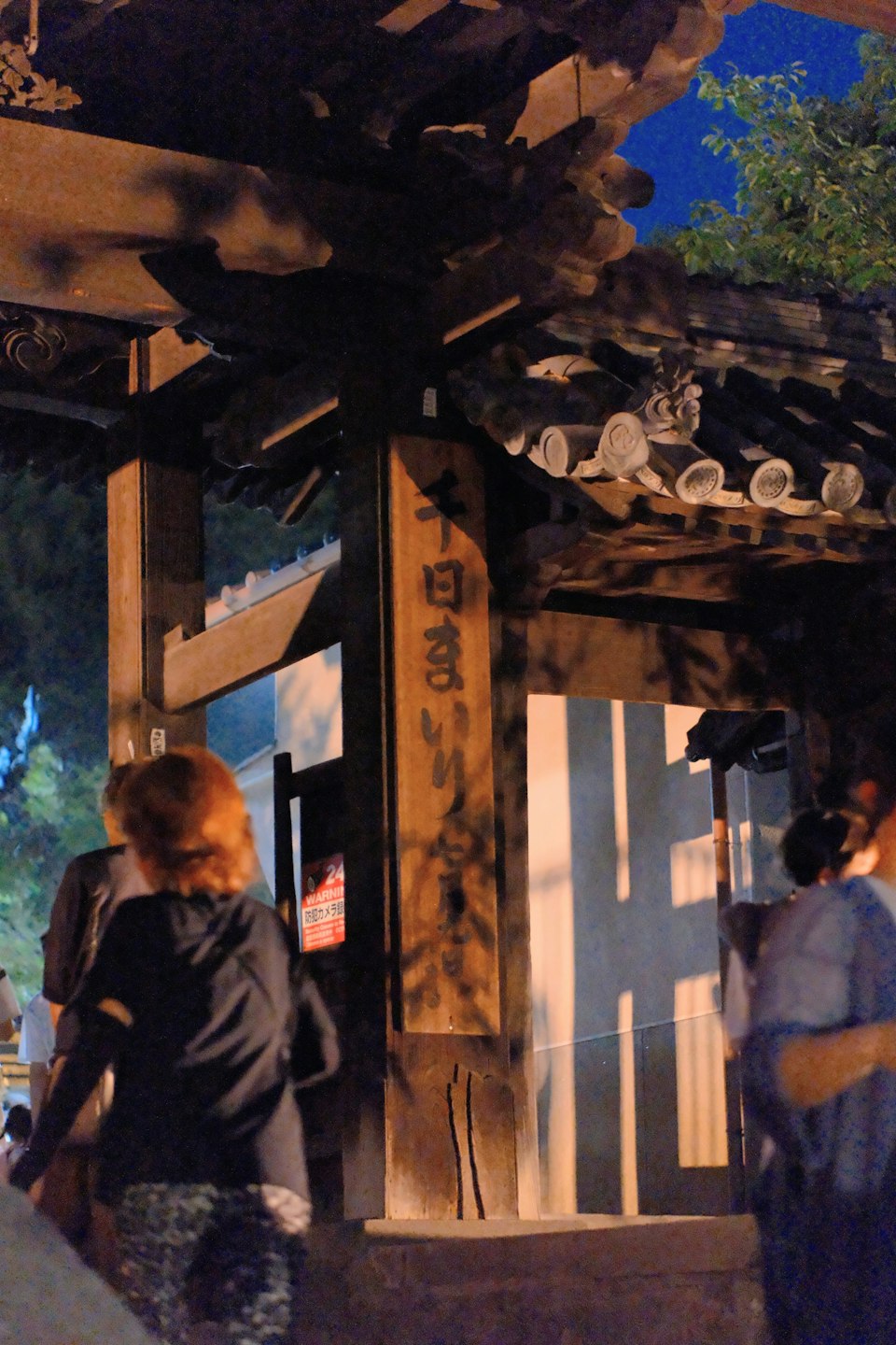 2026年ののざきの風景