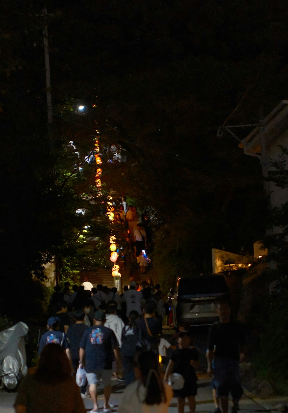 2026年ののざきの風景