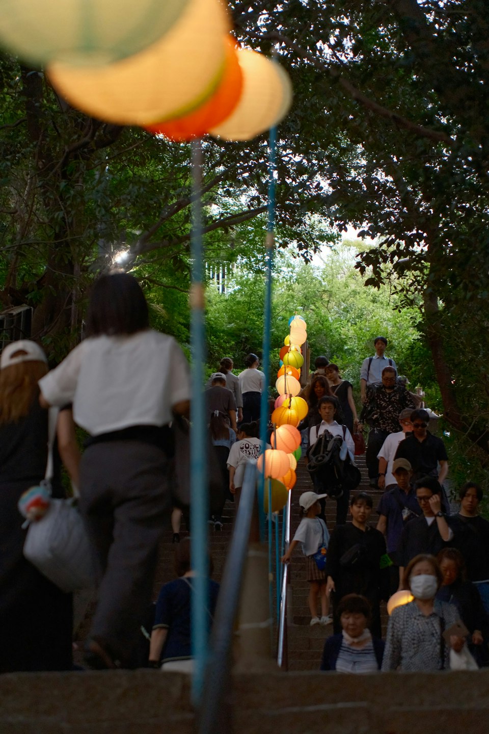 2026年ののざきの風景