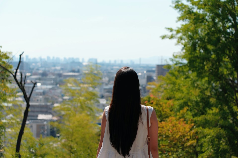 2026年ののざきの風景