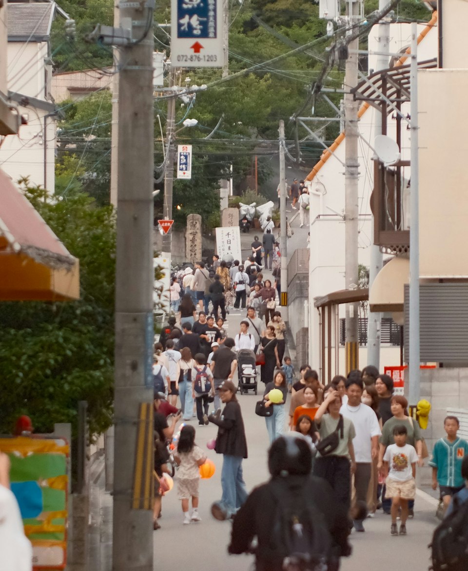 2026年ののざきの風景