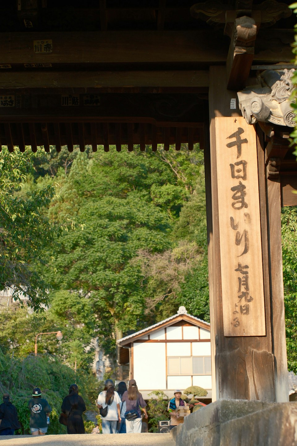 2026年ののざきの風景