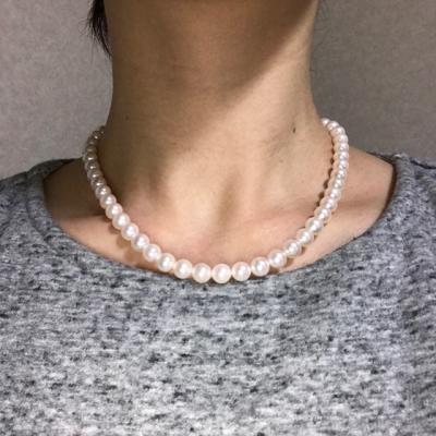 ユーザー投稿写真