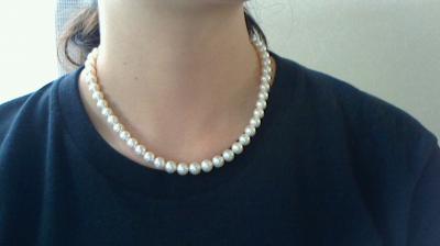 ユーザー投稿写真