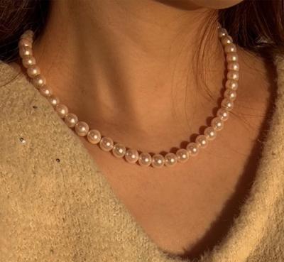 ユーザー投稿写真