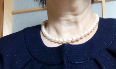 ユーザー投稿写真