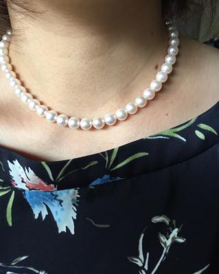 ユーザー投稿写真