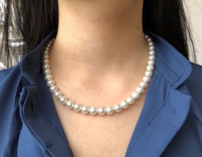 ユーザー投稿写真