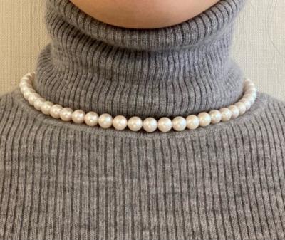 ユーザー投稿写真