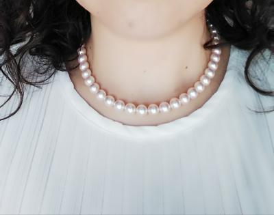 ユーザー投稿写真