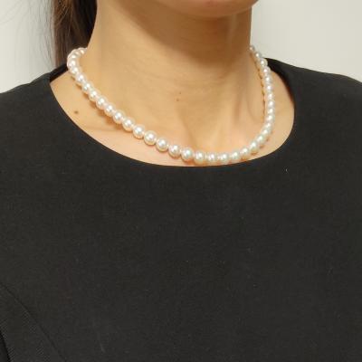 ユーザー投稿写真