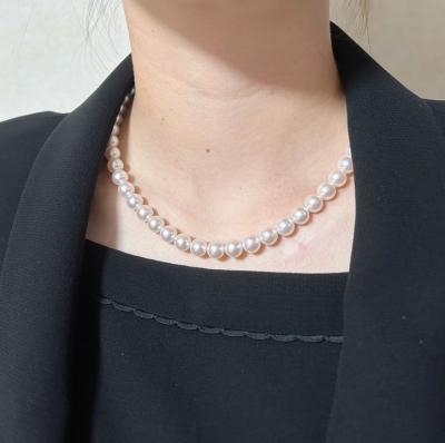 ユーザー投稿写真