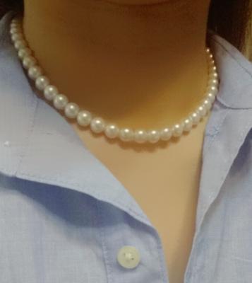 ユーザー投稿写真