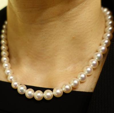 ユーザー投稿写真