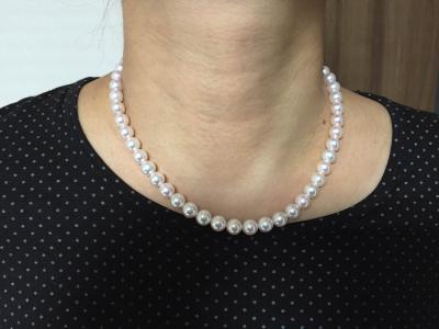 ユーザー投稿写真