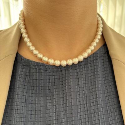 ユーザー投稿写真