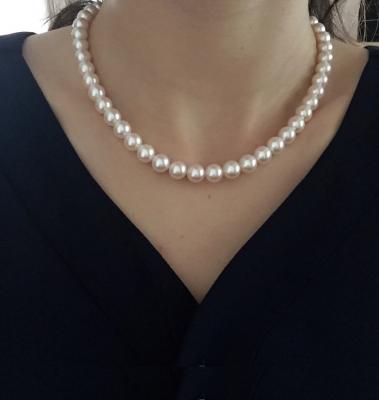 ユーザー投稿写真