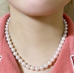 ユーザー投稿写真