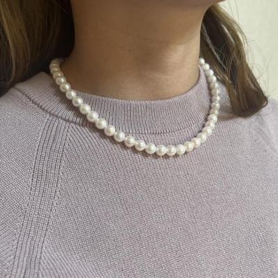 ユーザー投稿写真