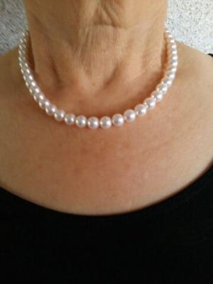 ユーザー投稿写真