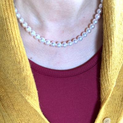 ユーザー投稿写真