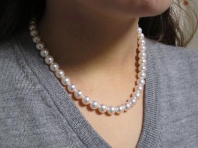 ユーザー投稿写真