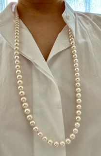 ユーザー投稿写真