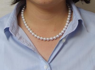 ユーザー投稿写真