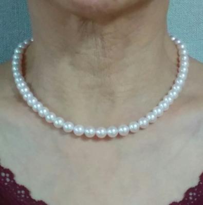 ユーザー投稿写真