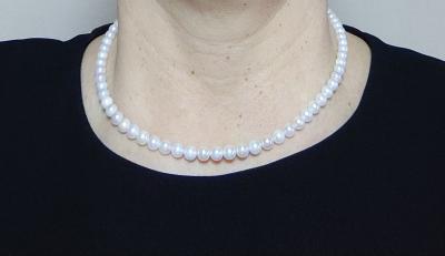 ユーザー投稿写真