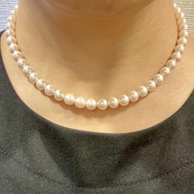 ユーザー投稿写真