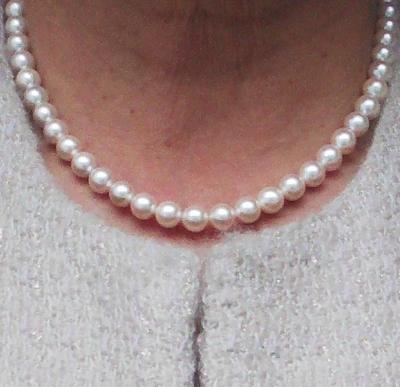 ユーザー投稿写真