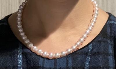 ユーザー投稿写真