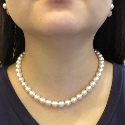 ユーザー投稿写真