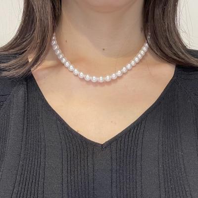 ユーザー投稿写真