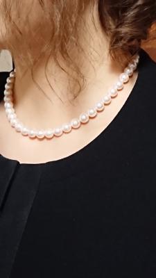 ユーザー投稿写真