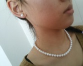 ユーザー投稿写真