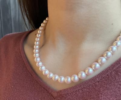 ユーザー投稿写真